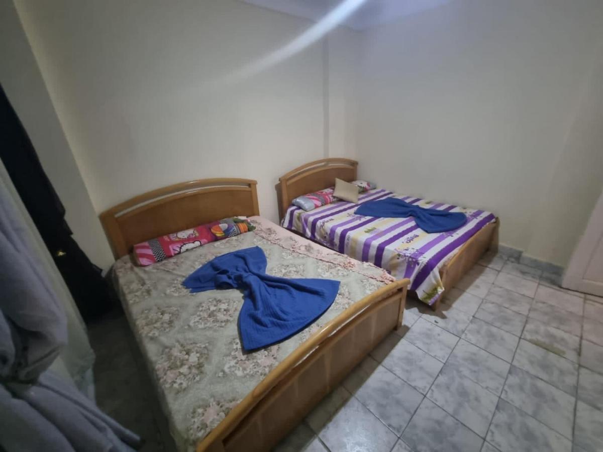 アレクサンドリアSea View Flat For Family Only In Miamiアパートメント エクステリア 写真