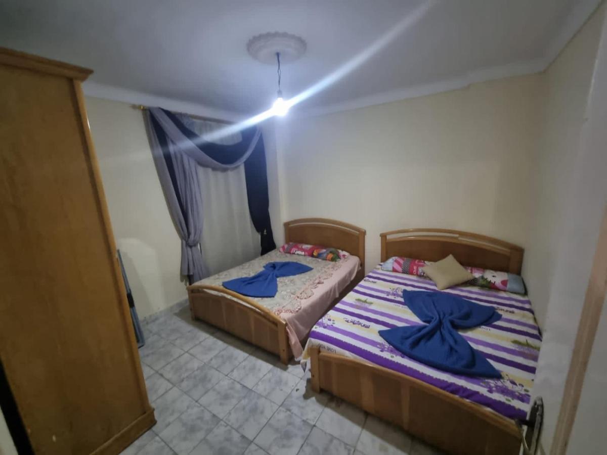 アレクサンドリアSea View Flat For Family Only In Miamiアパートメント エクステリア 写真